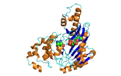 creatine kinase interpretatie.